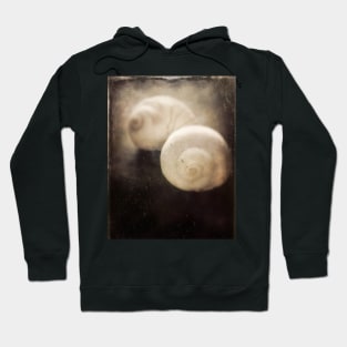 Two Sea Shells Hoodie